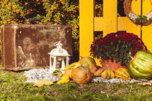 Dekoracje z dyni do jesiennych aranżacji balkonu, tarasu i ogrodu: 15 czarujących pomysłów