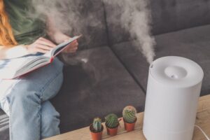 Jak utrzymać odpowiednią wilgotność w domu – porównanie nawilżaczy i jonizatorów powietrza